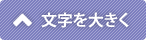 文字を大きく