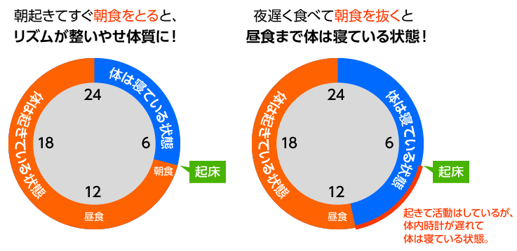 （図）朝ごはんと体内時計