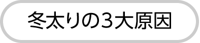 冬太りの３大原因